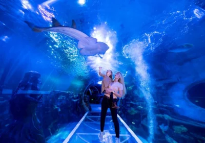 National Sea Life Centre Entrance Ticket